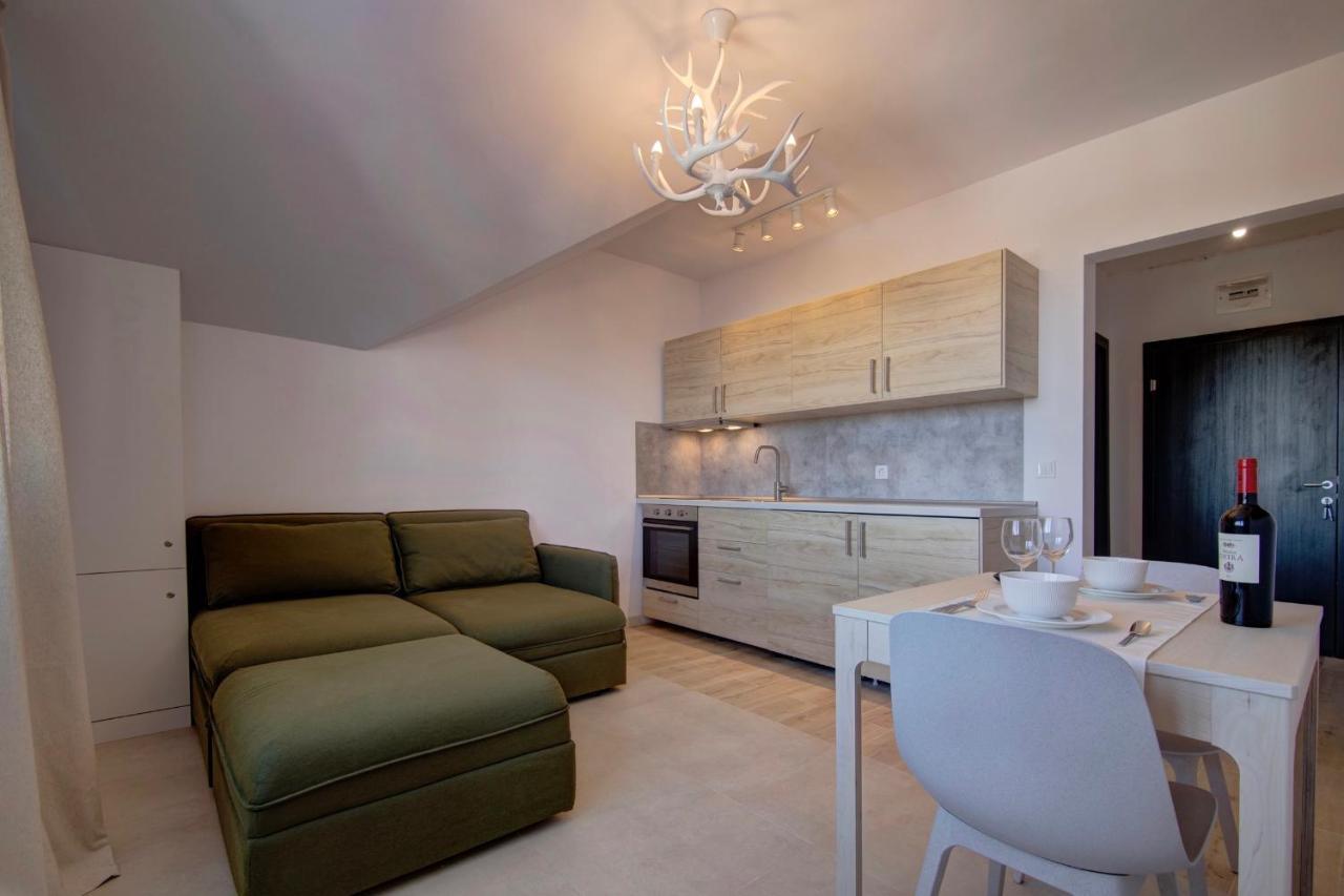 Pinewood Apartment Borovec Exteriér fotografie